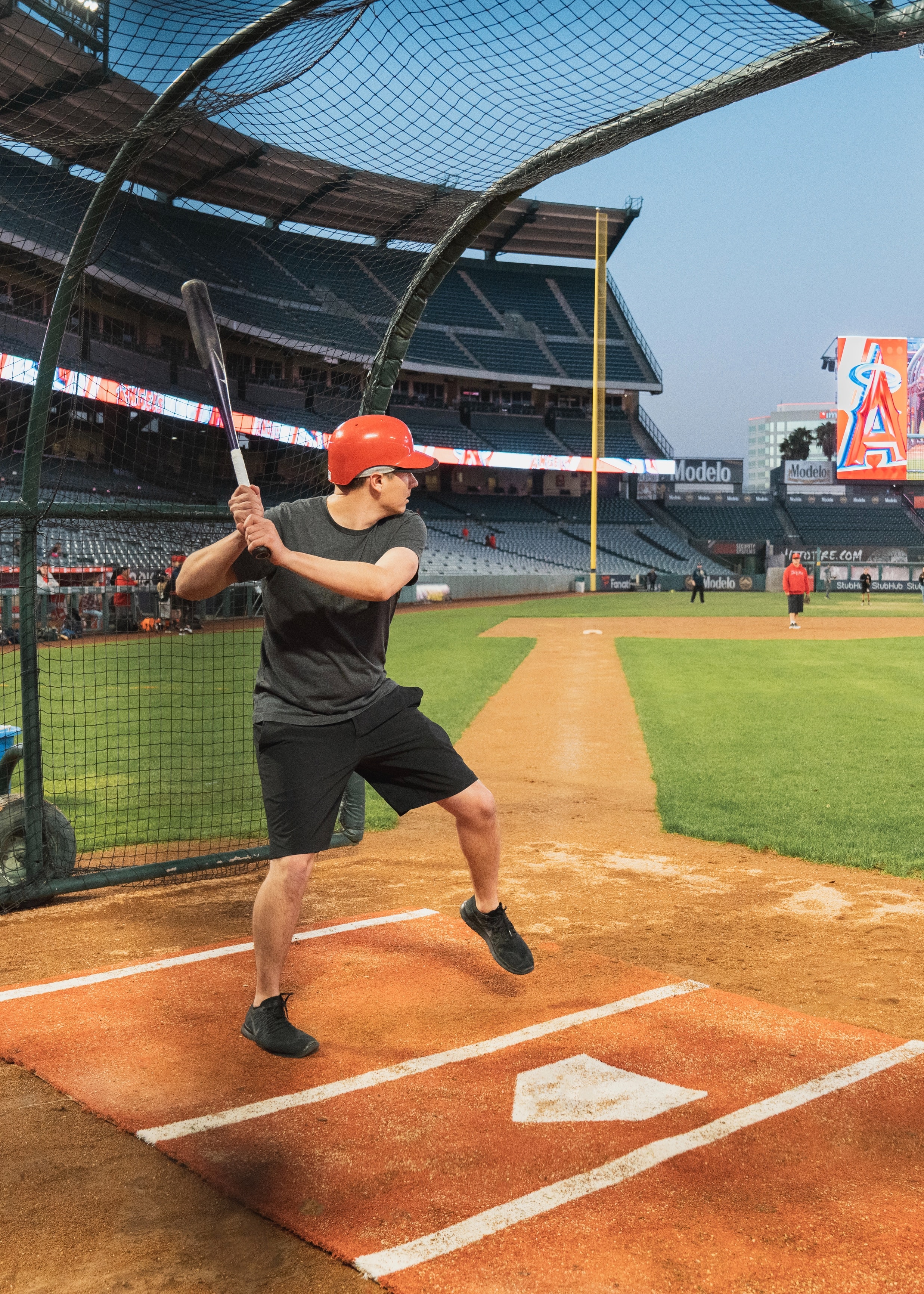 Best Baseball Protective Cups and Gear